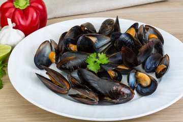 Mussels
