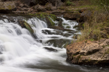 Fototapeta premium Willow Falls Jesienią