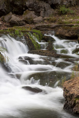 Willow Falls In Autumn