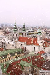 Fotobehang Vienna rooftops cityscape with snow © viperagp
