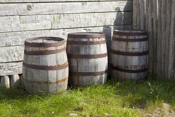 Obraz premium Wooden Barrels