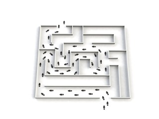 Realistic 3d render of maze