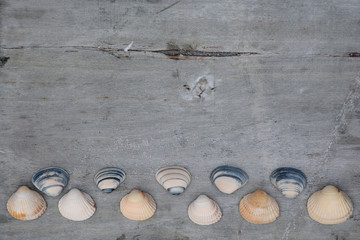 Fototapeta na wymiar Achtergrond van mooie schelpen op oud hout