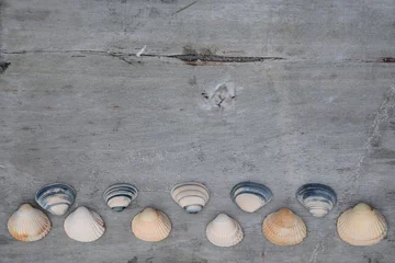 Foto auf Acrylglas Achtergrond van mooie schelpen op oud hout © trinetuzun