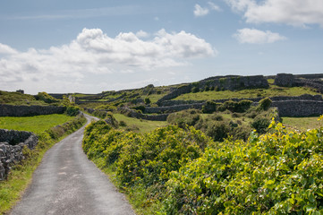 Paysage irlandais