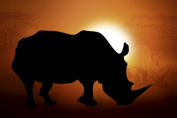 Silhouette of a rhino in sunset