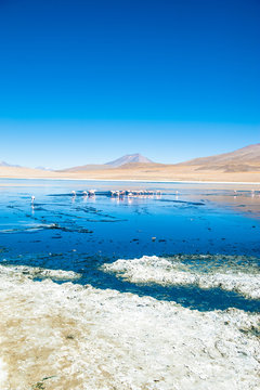 Laguna della Bolivia