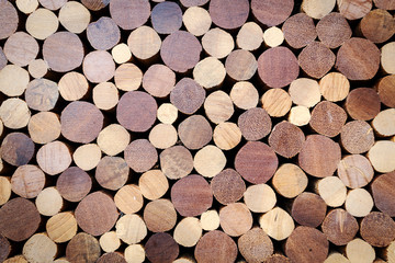 Close Up of Log wood Pattern, Thailand