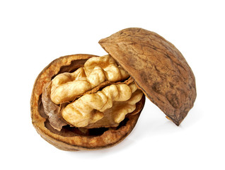 Dried walnuts on a white background