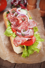 Submarine sandwich with salami