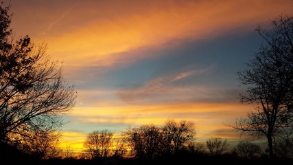 Fototapeta na wymiar Tree framed sunset
