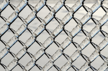 Fototapeta premium Freezing rain