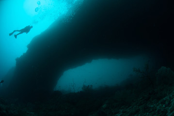 Fototapeta na wymiar Diver swimming above in Ambon, Maluku, Indonesia underwater