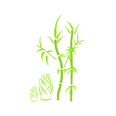 Green bamboo isolated illustration