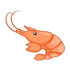 Shrimp isolated illustration