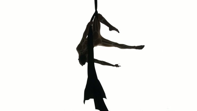 Man dancer on aerial silk, aerial contortion, aerial ribbons,