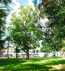 Druskininkai is a spa town on the Neman River