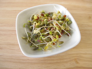 Sprossengemüse aus Linsen, Rettich, Quinoa