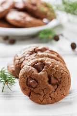 sweet chocolate cookies or biscuit