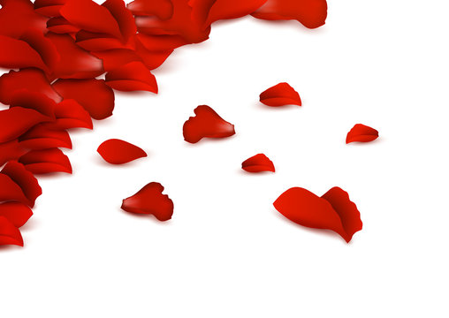 Background of rBackground of red rose petals.