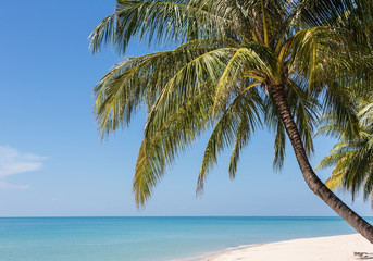 Fototapeta na wymiar White sand beach in Koh Chang, a popular island on the gulf of T