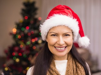 Portrait of a smiling brunette in santa hat