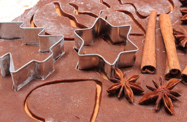 Cookie cutters and spice on dough for gingerbread