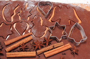 Cookie cutters and spice on dough for gingerbread