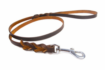 Fototapeta premium Dog leather leash