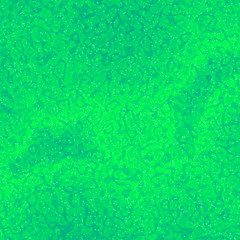 Bacteria under microscope