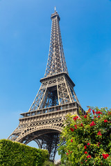 The Eiffel Tower in Paris