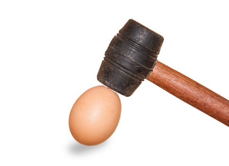 Hammer hit to the eggs