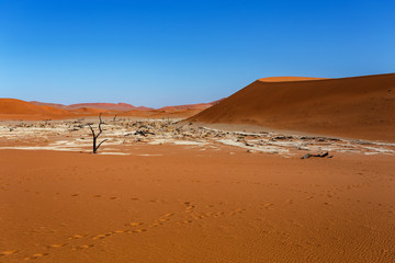 Fototapeta premium Sossusvlei beautiful landscape of death valley