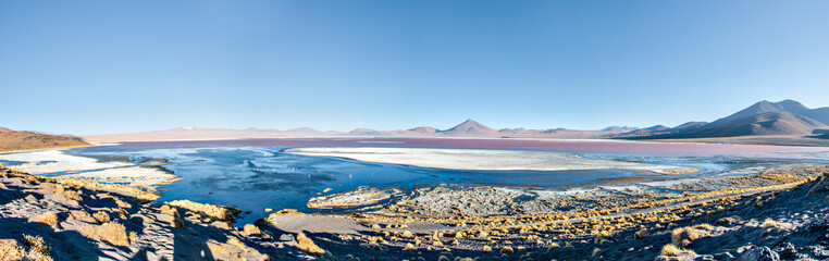 Naklejka premium Laguna della Bolivia