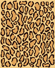 Prints of skin of  leopard, vector illustration