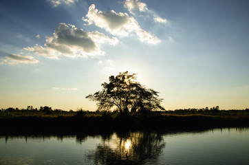 Tree with sun set and reservoir