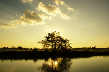 Tree with sun set and reservoir