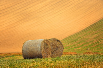 Morawy, krajobraz wiejski, uprawa pól © janmiko