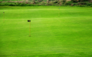 Fototapeta premium Auf dem Golfplatz