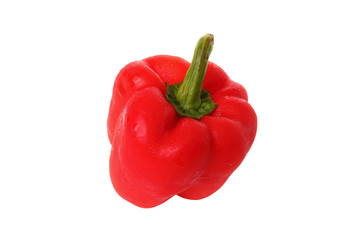 red bell pepper
