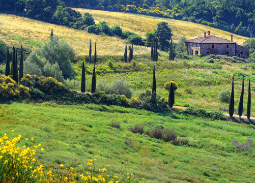 Tuscan cottage