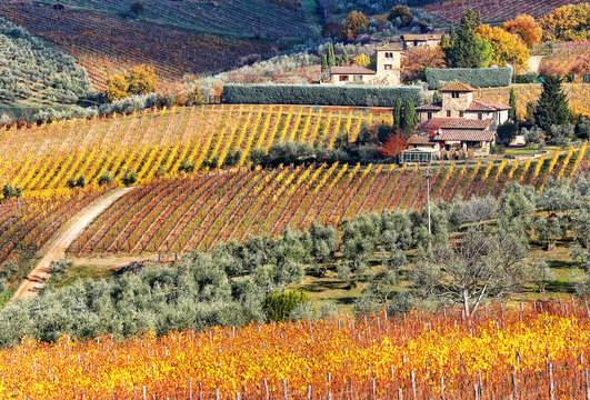 Tuscan