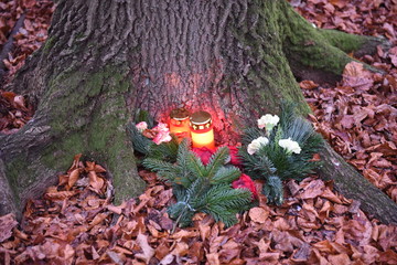 Trauer, Friedwald
