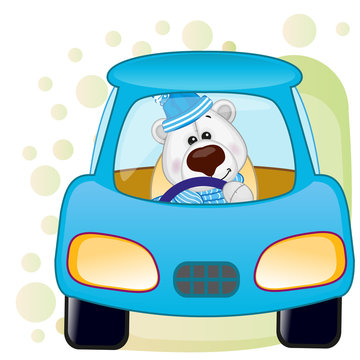 Polar Bear in a car