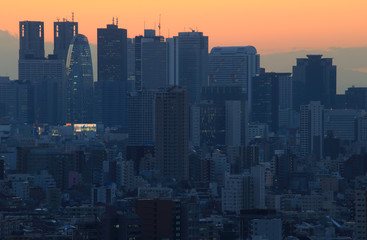 東京の高層ビル群　夕景