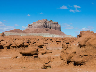 Sandstone hoodoos in Goblin Valley State park, Utah, USA