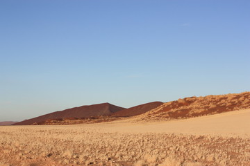 Fototapeta na wymiar Wüstenvorläufer Sossusvlei - Namibia