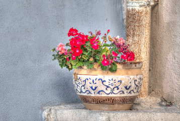 Fototapeta na wymiar flower pot in a rustic corner