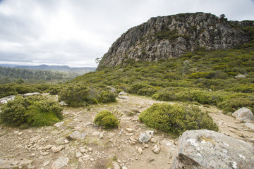 Tasmanian wilderness Walls of Jerusalem National park
