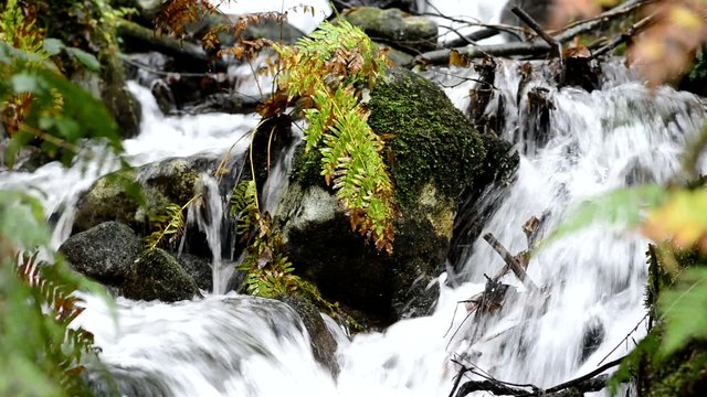 Naturaleza virgen. Cascadas de agua. R&iacute;os y paisajes de Galicia